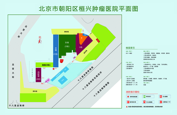 插逼艹烂骚货视频北京市朝阳区桓兴肿瘤医院平面图